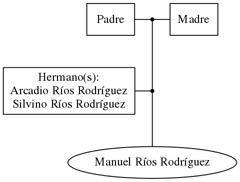 This is a graph with borders and nodes. Maybe there is an Imagemap used so the nodes may be linking to some Pages.