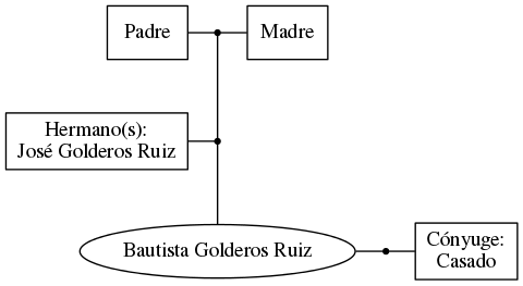 This is a graph with borders and nodes. Maybe there is an Imagemap used so the nodes may be linking to some Pages.