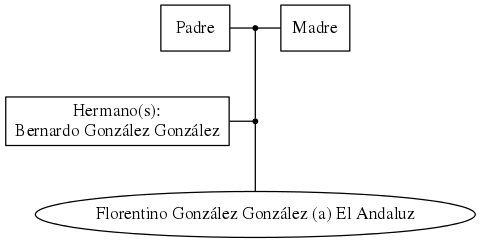 This is a graph with borders and nodes. Maybe there is an Imagemap used so the nodes may be linking to some Pages.