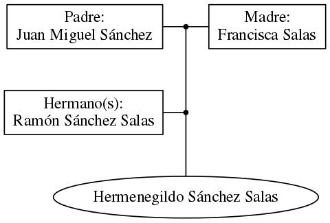 This is a graph with borders and nodes. Maybe there is an Imagemap used so the nodes may be linking to some Pages.