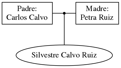 This is a graph with borders and nodes. Maybe there is an Imagemap used so the nodes may be linking to some Pages.