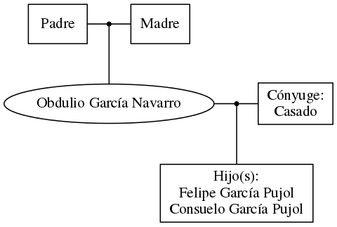 This is a graph with borders and nodes. Maybe there is an Imagemap used so the nodes may be linking to some Pages.