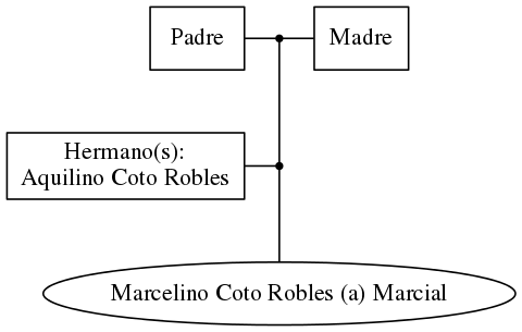 This is a graph with borders and nodes. Maybe there is an Imagemap used so the nodes may be linking to some Pages.