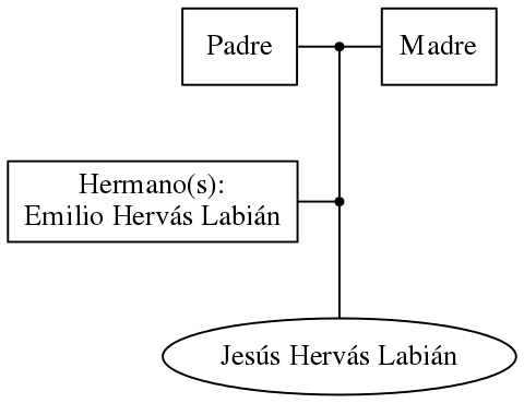 This is a graph with borders and nodes. Maybe there is an Imagemap used so the nodes may be linking to some Pages.