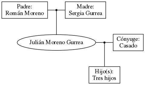 This is a graph with borders and nodes. Maybe there is an Imagemap used so the nodes may be linking to some Pages.