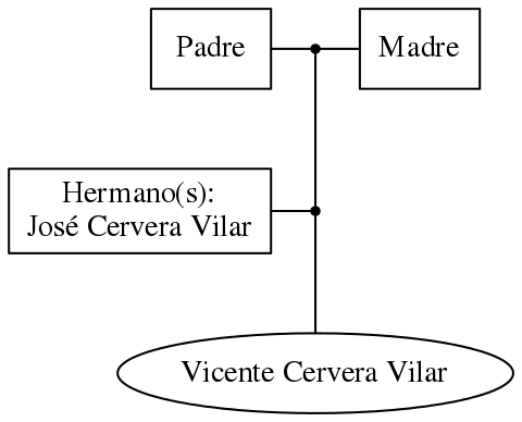 This is a graph with borders and nodes. Maybe there is an Imagemap used so the nodes may be linking to some Pages.