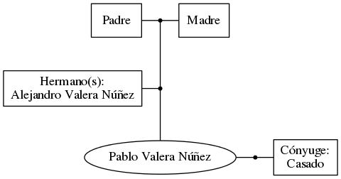 This is a graph with borders and nodes. Maybe there is an Imagemap used so the nodes may be linking to some Pages.