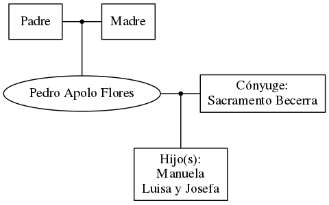 This is a graph with borders and nodes. Maybe there is an Imagemap used so the nodes may be linking to some Pages.