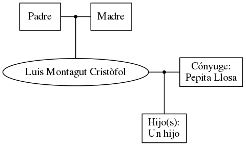 This is a graph with borders and nodes. Maybe there is an Imagemap used so the nodes may be linking to some Pages.