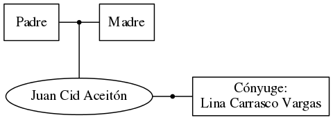 This is a graph with borders and nodes. Maybe there is an Imagemap used so the nodes may be linking to some Pages.