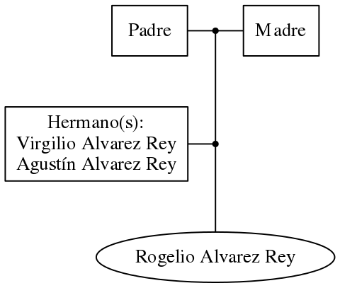 This is a graph with borders and nodes. Maybe there is an Imagemap used so the nodes may be linking to some Pages.