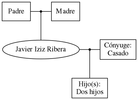 This is a graph with borders and nodes. Maybe there is an Imagemap used so the nodes may be linking to some Pages.