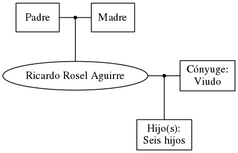 This is a graph with borders and nodes. Maybe there is an Imagemap used so the nodes may be linking to some Pages.