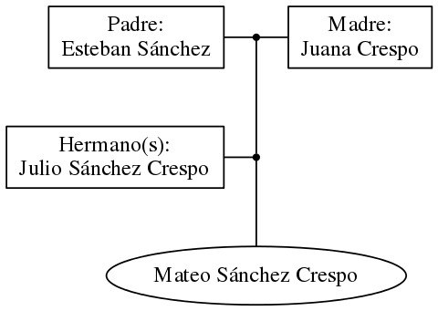 This is a graph with borders and nodes. Maybe there is an Imagemap used so the nodes may be linking to some Pages.