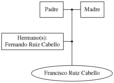 This is a graph with borders and nodes. Maybe there is an Imagemap used so the nodes may be linking to some Pages.