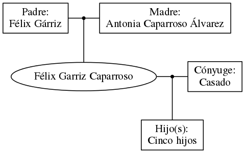 This is a graph with borders and nodes. Maybe there is an Imagemap used so the nodes may be linking to some Pages.