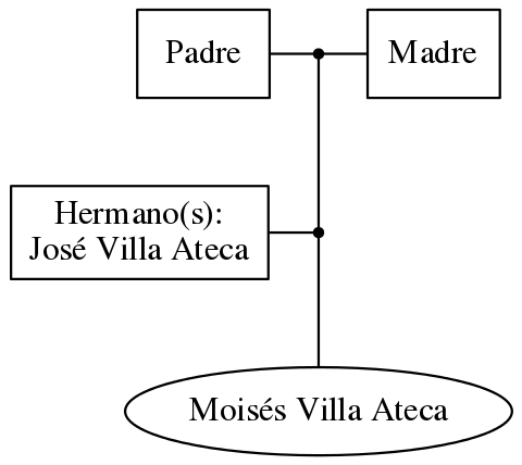 This is a graph with borders and nodes. Maybe there is an Imagemap used so the nodes may be linking to some Pages.