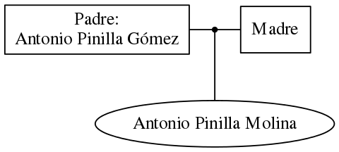 This is a graph with borders and nodes. Maybe there is an Imagemap used so the nodes may be linking to some Pages.