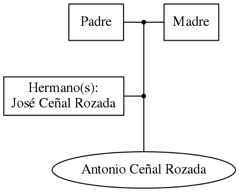 This is a graph with borders and nodes. Maybe there is an Imagemap used so the nodes may be linking to some Pages.