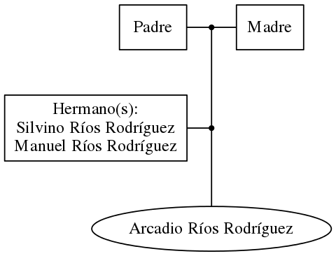 This is a graph with borders and nodes. Maybe there is an Imagemap used so the nodes may be linking to some Pages.