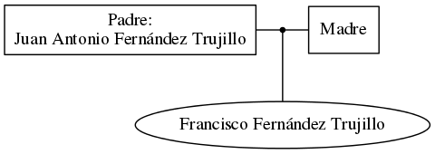 This is a graph with borders and nodes. Maybe there is an Imagemap used so the nodes may be linking to some Pages.