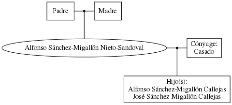 This is a graph with borders and nodes. Maybe there is an Imagemap used so the nodes may be linking to some Pages.