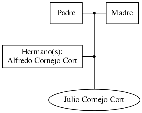 This is a graph with borders and nodes. Maybe there is an Imagemap used so the nodes may be linking to some Pages.