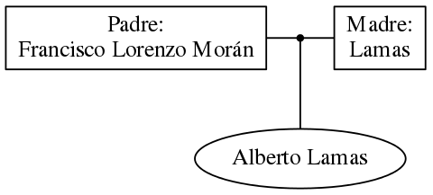 This is a graph with borders and nodes. Maybe there is an Imagemap used so the nodes may be linking to some Pages.