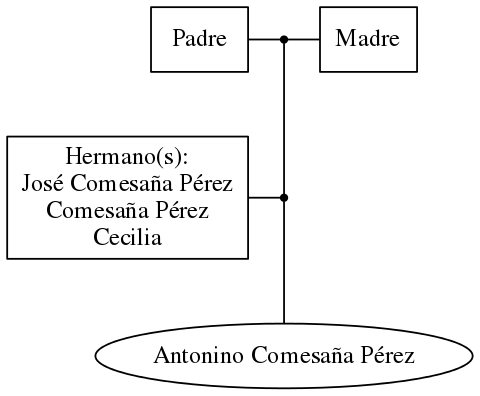 This is a graph with borders and nodes. Maybe there is an Imagemap used so the nodes may be linking to some Pages.