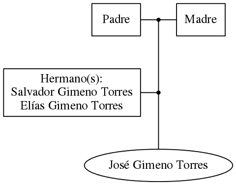 This is a graph with borders and nodes. Maybe there is an Imagemap used so the nodes may be linking to some Pages.