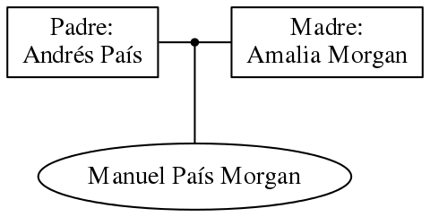 This is a graph with borders and nodes. Maybe there is an Imagemap used so the nodes may be linking to some Pages.