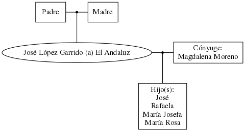 This is a graph with borders and nodes. Maybe there is an Imagemap used so the nodes may be linking to some Pages.