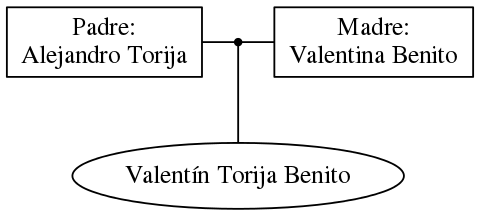 This is a graph with borders and nodes. Maybe there is an Imagemap used so the nodes may be linking to some Pages.