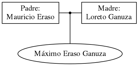 This is a graph with borders and nodes. Maybe there is an Imagemap used so the nodes may be linking to some Pages.