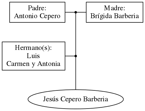 This is a graph with borders and nodes. Maybe there is an Imagemap used so the nodes may be linking to some Pages.