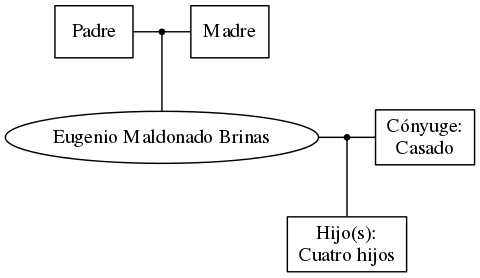 This is a graph with borders and nodes. Maybe there is an Imagemap used so the nodes may be linking to some Pages.