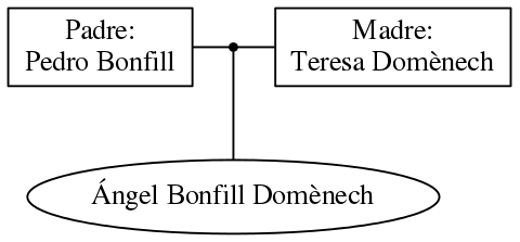 This is a graph with borders and nodes. Maybe there is an Imagemap used so the nodes may be linking to some Pages.