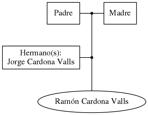 This is a graph with borders and nodes. Maybe there is an Imagemap used so the nodes may be linking to some Pages.