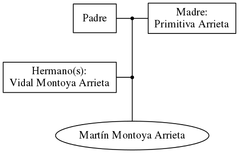 This is a graph with borders and nodes. Maybe there is an Imagemap used so the nodes may be linking to some Pages.