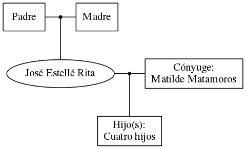 This is a graph with borders and nodes. Maybe there is an Imagemap used so the nodes may be linking to some Pages.