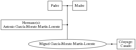 This is a graph with borders and nodes. Maybe there is an Imagemap used so the nodes may be linking to some Pages.