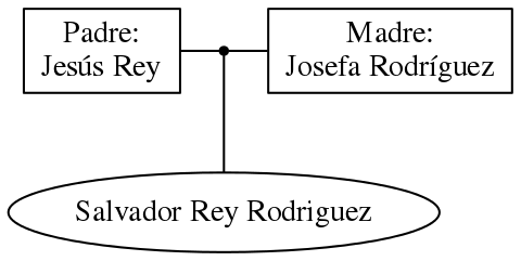 This is a graph with borders and nodes. Maybe there is an Imagemap used so the nodes may be linking to some Pages.