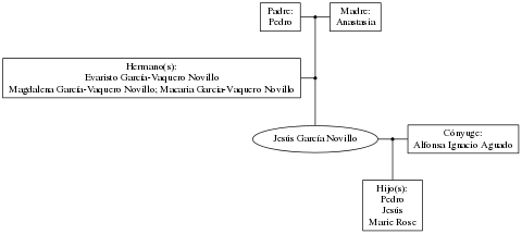 This is a graph with borders and nodes. Maybe there is an Imagemap used so the nodes may be linking to some Pages.