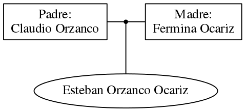 This is a graph with borders and nodes. Maybe there is an Imagemap used so the nodes may be linking to some Pages.