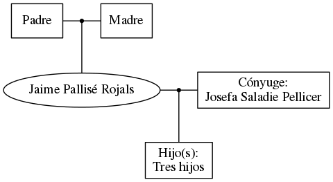 This is a graph with borders and nodes. Maybe there is an Imagemap used so the nodes may be linking to some Pages.