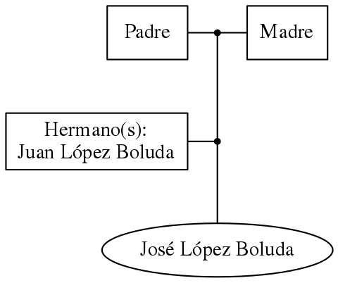 This is a graph with borders and nodes. Maybe there is an Imagemap used so the nodes may be linking to some Pages.