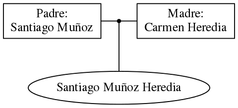 This is a graph with borders and nodes. Maybe there is an Imagemap used so the nodes may be linking to some Pages.