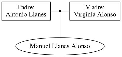 This is a graph with borders and nodes. Maybe there is an Imagemap used so the nodes may be linking to some Pages.