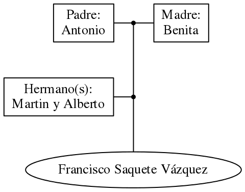 This is a graph with borders and nodes. Maybe there is an Imagemap used so the nodes may be linking to some Pages.