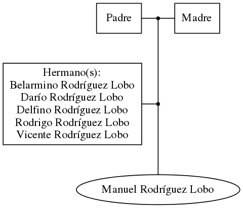 This is a graph with borders and nodes. Maybe there is an Imagemap used so the nodes may be linking to some Pages.